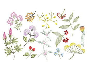 Puede incluir: Una colección de 12 diseños florales bordados que presentan varias flores, hojas y bayas en tonos de rosa, morado, amarillo, rojo y verde.