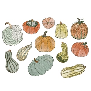 12 Pumpkins Thanksgiving Machine Embroidery Design Set, Pumpkin Harvest Flower Instant Download Zip - 5 Sizes