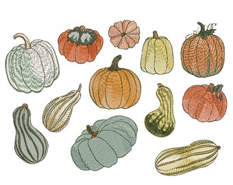 Ensemble de 12 motifs de broderie Machine citrouilles pour Thanksgiving, téléchargement immédiat de fleurs de citrouilles - 5 tailles