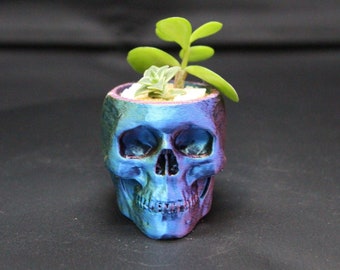 Mini Skull Succulent Planter Over 20 Colors Available