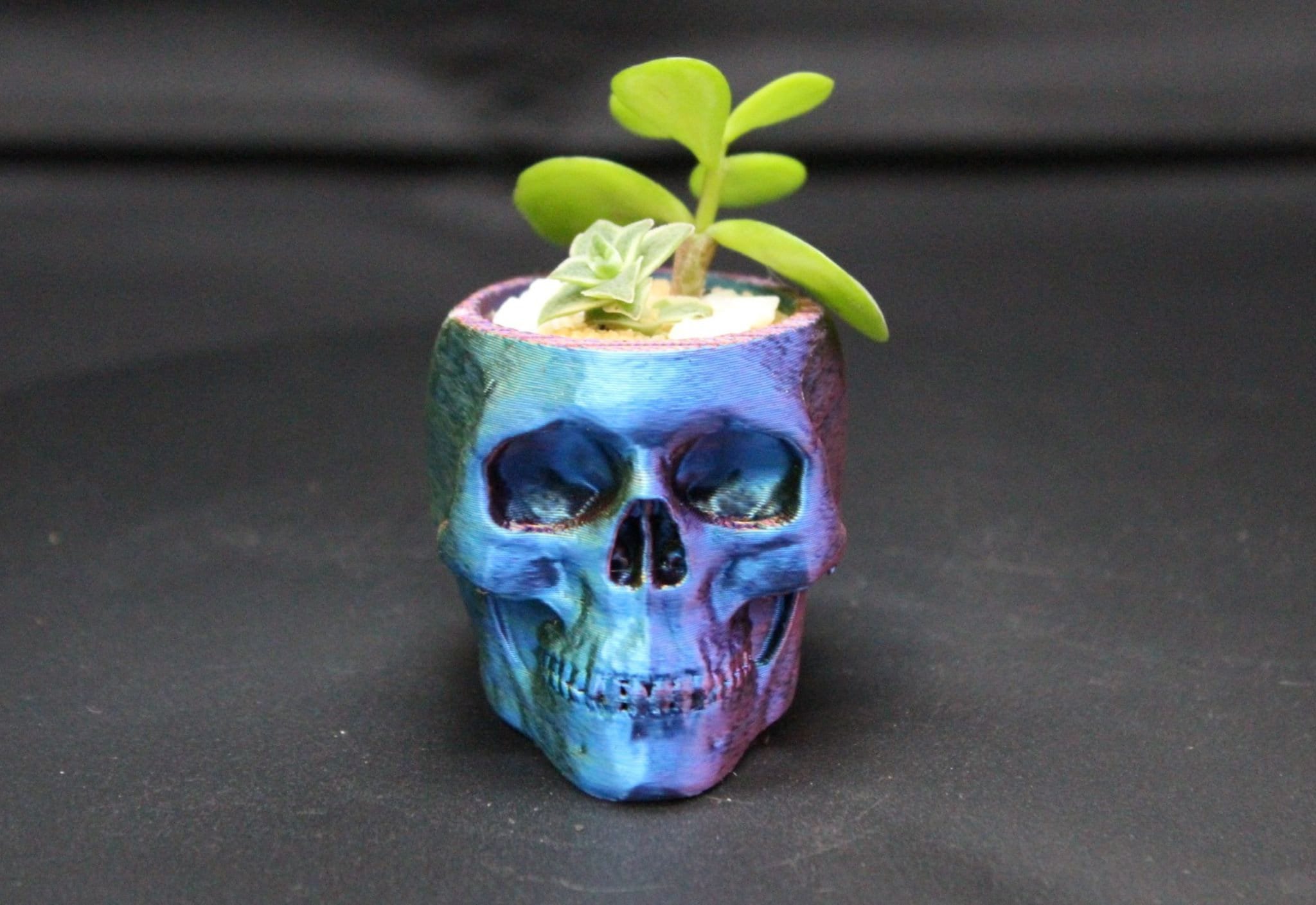 Mini Skull Succulent Planter Over 20 Colors Available product image