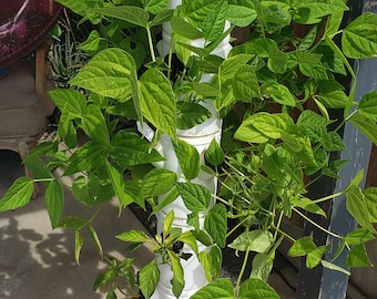 Modular Farming System - Stackable Hydroponic Growing Tower