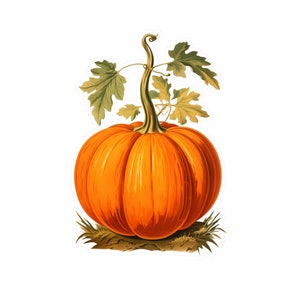May include: A large orange pumpkin with a green stem and leaves. The pumpkin is sitting on a bed of brown leaves.