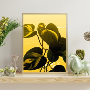 Vibrant Golden Pothos Pop Art - Minimalist Modern Plant Print - Lively Botanical Wall Decor - Indoor Gardening Artwork