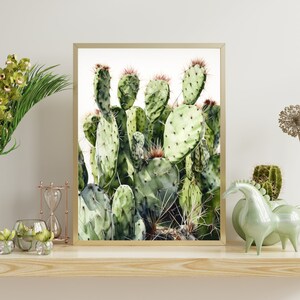 Vibrant Green Cactus - Realistic Watercolor Painting, Artful Detail on White Background