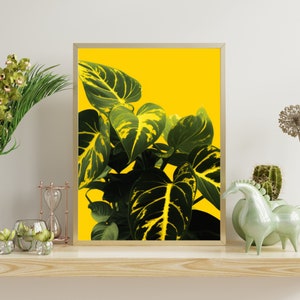 Vibrant Golden Pothos Pop Art - Minimalist Modern Plant Print - Lively Botanical Wall Decor - Indoor Gardening Artwork