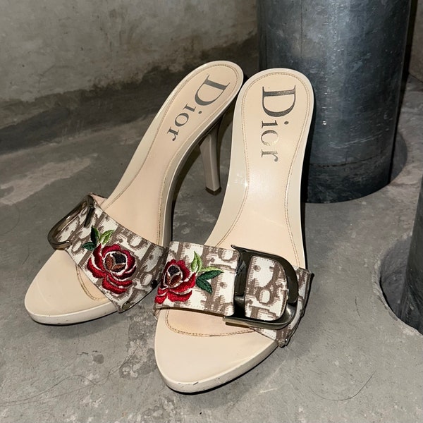 Dior Floral Embroidered Beige Trotter Monogram Print Heels