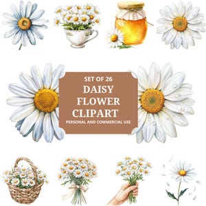 Immagini clipart di margherite stravaganti, pacchetto PNG SVG di margherite acquerellate, grafica a sublimazione floreale, arte digitale di margherite, piante primaverili