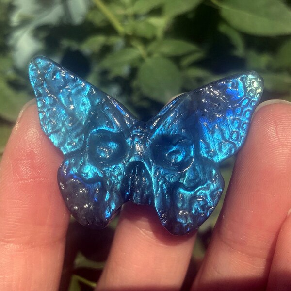 Butterfly Skull Etsy