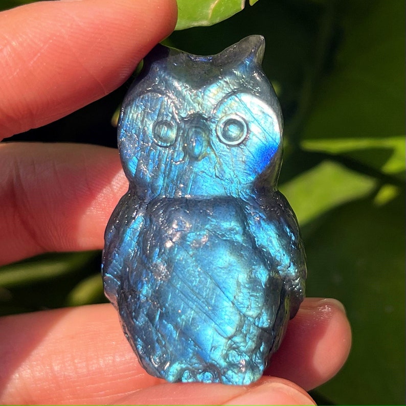 1.5amazing Blue Flashy Labradorite Owl Nature Hand Carevd Etsy
