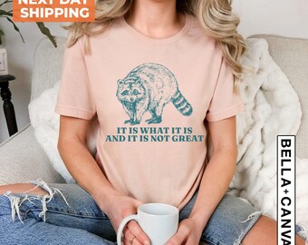 It Is What It Is And It Is Not Great Shirt, Funny Vintage Drawing T-Shirt, Raccoon Meme Shirt, Mood Gifts, Funny Mood Sweatshirt, Funny Meme
