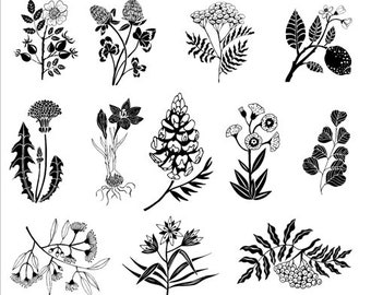 006 Sepia-Toned Brown Floral FLORA Series Plants Ceramic Overglaze Transfers DECALS - 1000C Firing Decals for Pottery and Ceramic