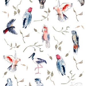 Australian Native Bird Overglaze Decal Sheet for Ceramic and Pottery