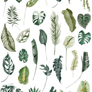 Tropical Plant Overglaze Decal Sheet for Ceramic and Pottery