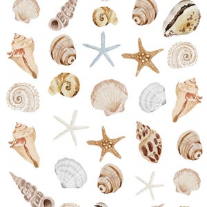 Shell Overglaze Decal Sheet for Ceramic and Pottery