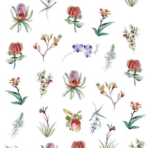 Australian Native Plant Overglaze Decal Sheet for Ceramic and Pottery
