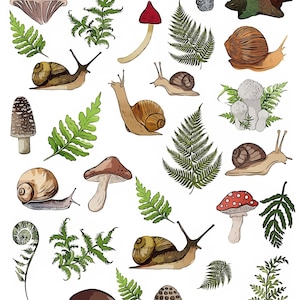 Snail Overglaze Decal Sheet for Ceramic and Pottery