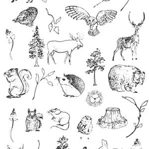 Woodlands Drawing Decal Sheet for Ceramic and Pottery