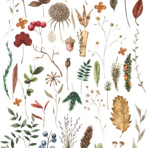 Forest Flora Overglaze Decal Sheet for Ceramic and Pottery