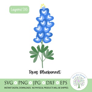 Texas Bluebonnet SVG: Floral Cut File, Western Design (Digital Download)