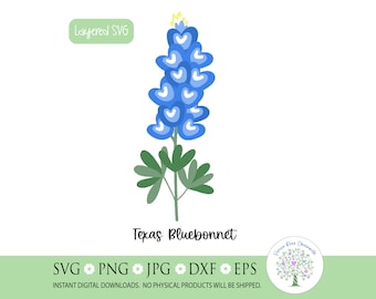Bluebonnet Texas Pack Cuttable Design SVG PNG DXF & Eps - Etsy