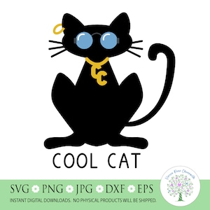 Cute Cat SVG, Cool Cat SVG, Black Cat svg, Funny Cat svg, Cat Lover svg, Cat with Glasses svg,  Silhouette, Cricut Cut File, sublimation png