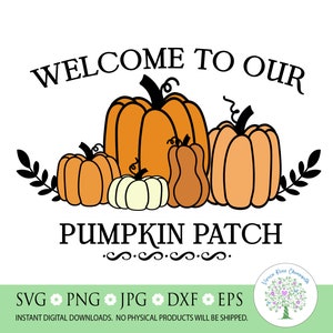 May include: Welcome to our pumpkin patch sign with a graphic of five pumpkins in various sizes and colors. The pumpkins are orange, brown, and white.