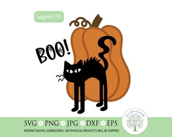 Scaredy Cat Halloween SVG: Black Cat & Pumpkin Design (Digital Download)