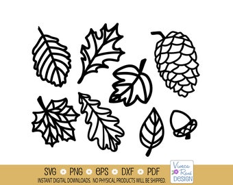 Fall Leaf Outlines SVG: Autumn Foliage, Pinecone, Acorn (Digital Download)
