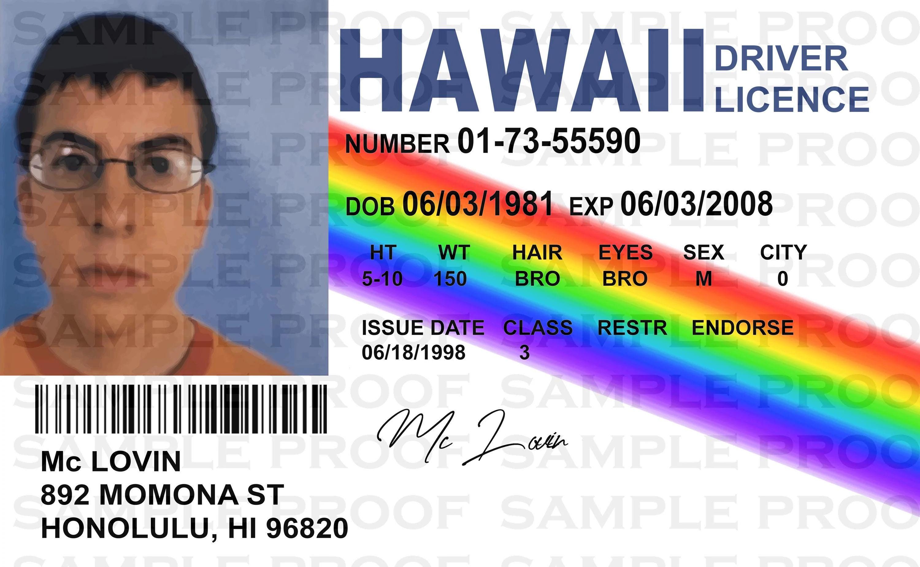 『lovinページ』 Mclovin ID Card PDF + Jpeg + SVG - Fun License Film Prop