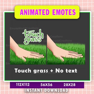 Può includere: Emoticon animato di una mano che tocca l'erba verde con il testo "touch grass" e "Touch grass + No text" sotto. L'immagine è disponibile in tre dimensioni: 112x112, 56x56 e 28x28.