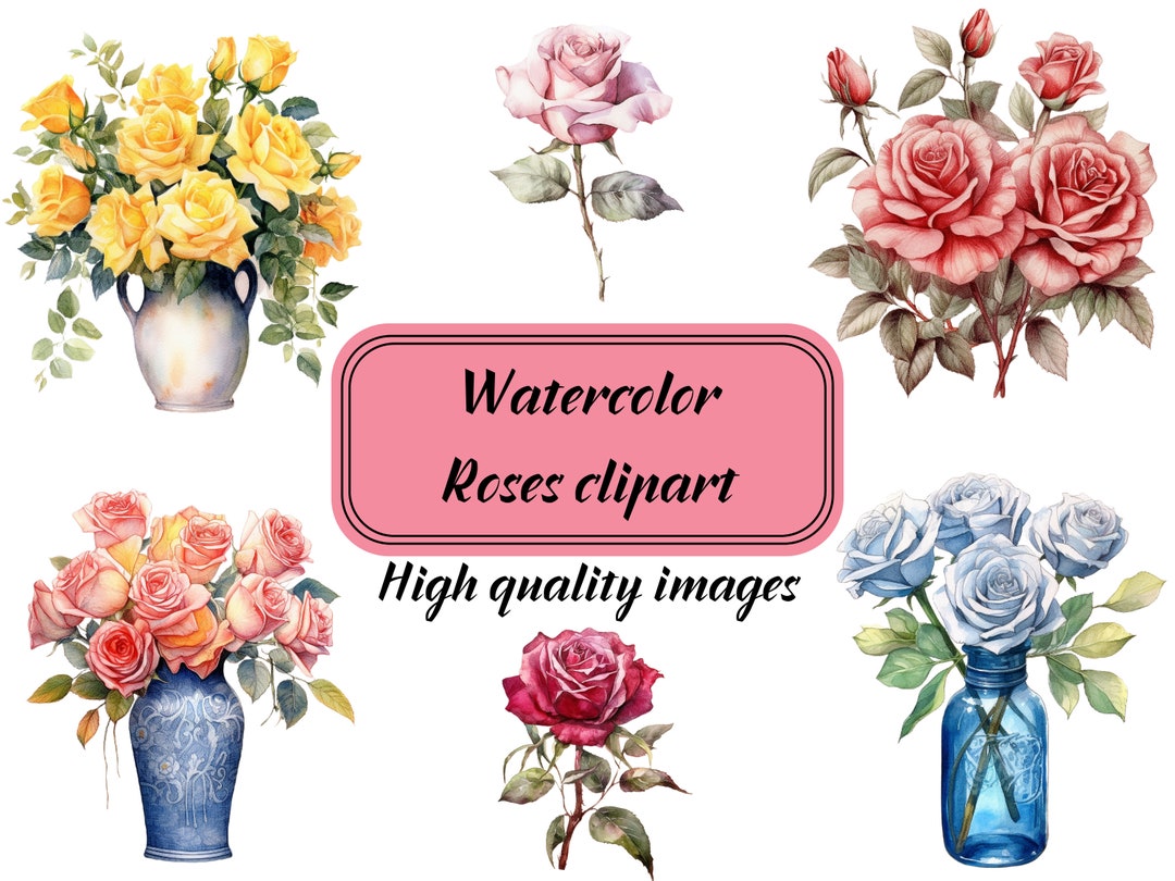 Watercolor Roses Clipart 20 Digital Png Roses Graphics for - Etsy