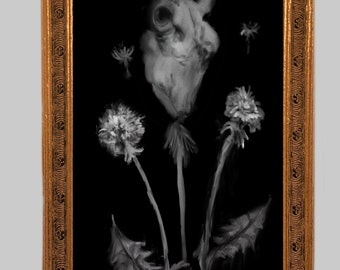 May include: A framed black and white painting of a heart shaped like a dandelion with three other dandelions surrounding it.