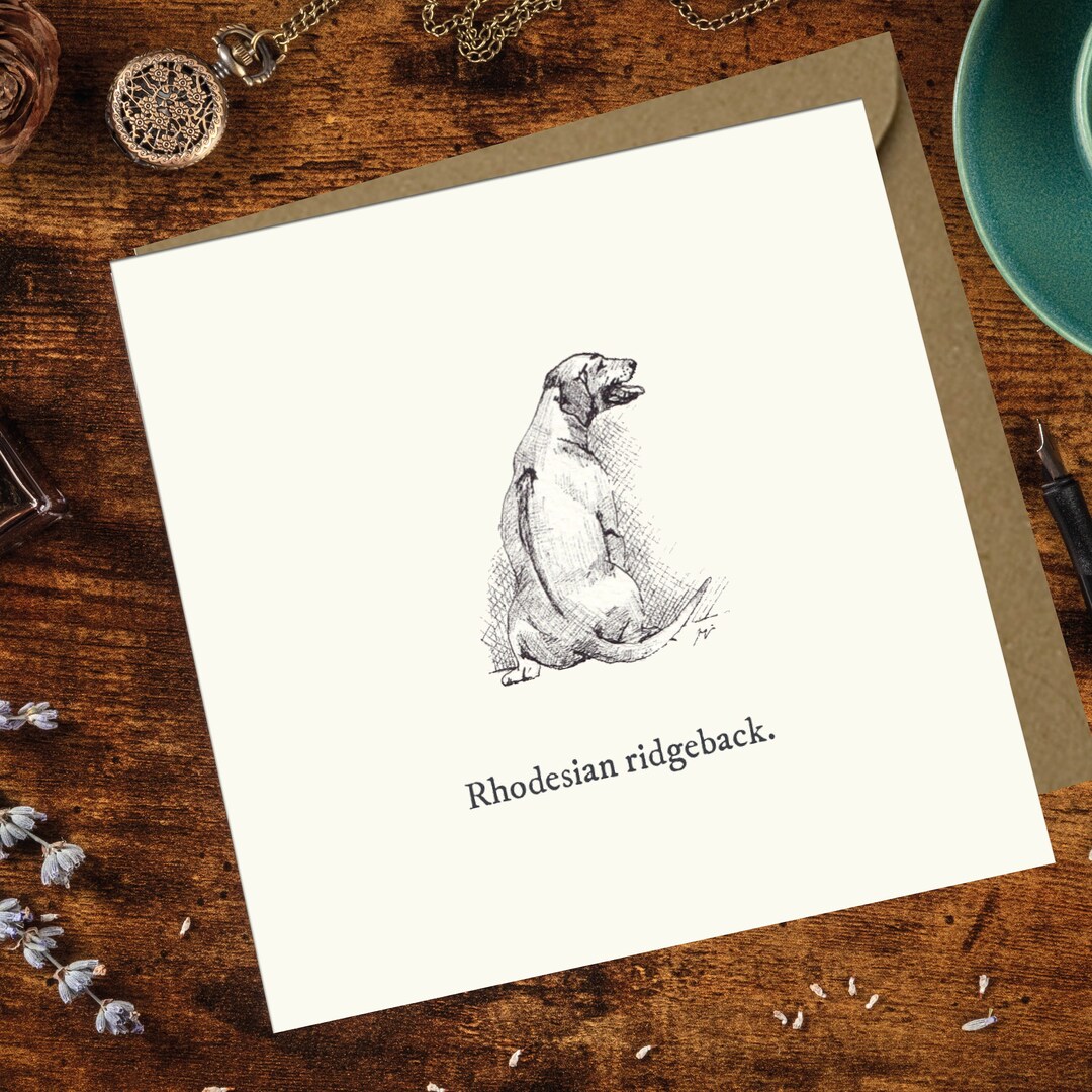 Rhodesian Ridgeback / Square Greetings Card Blank / Card From the Dog ...