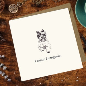 Lagotto Romagnolo / Square greetings card - blank / Card from the Dog / Dog Thank You Card / For Groomers, Vets and Breed Lovers