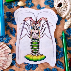 Green Rock Lobster Sticker
