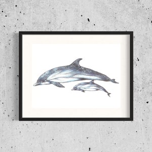 Dolphin Art