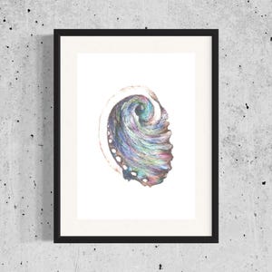 Könnte beinhalten: Ein gerahmtes Aquarellbild einer schillernden Abalone-Muschel mit einem wirbelnden Muster in Blautönen, Grün- und Violetttönen.