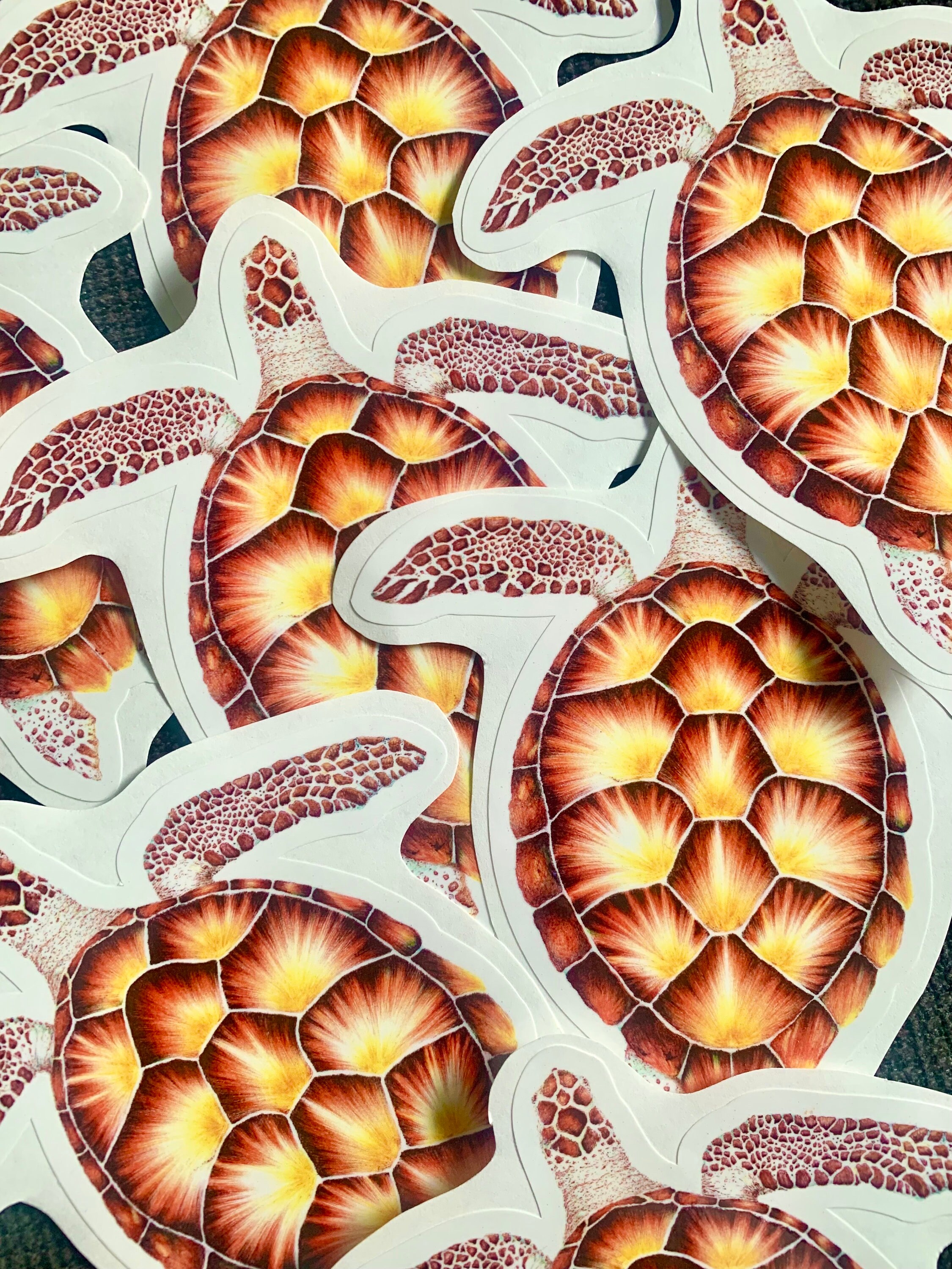 Turtlef Stickers Turtle Sticker - Etsy Australia