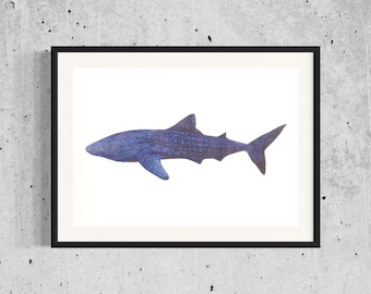 May include: A watercolour painting of a blue whale shark with white spots. The shark is swimming to the right and is depicted in a realistic style.