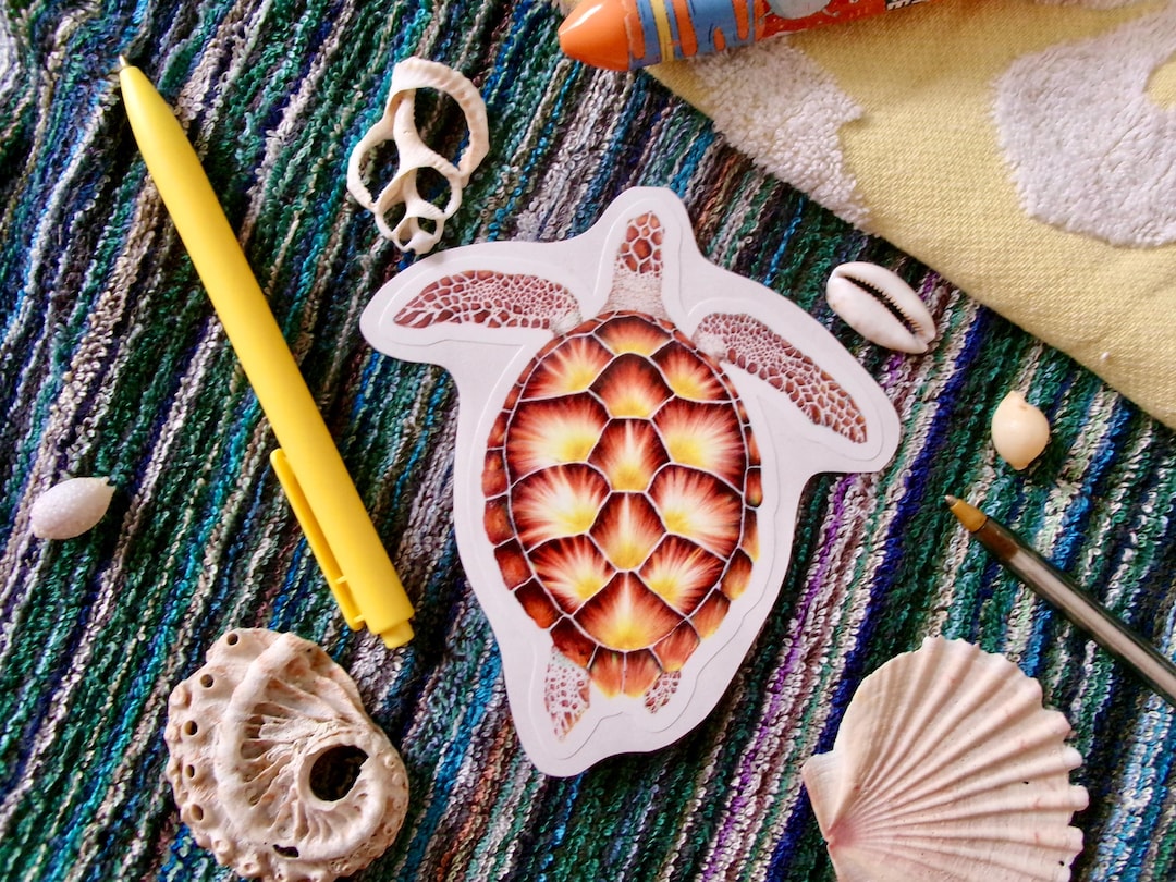Turtle Sticjer Turtle Sticker - Etsy Australia