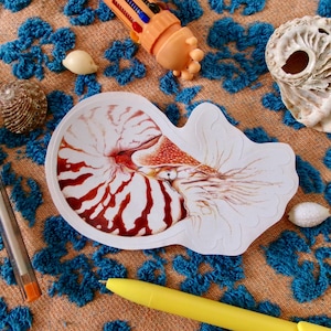 Nautilus Shell Sticker