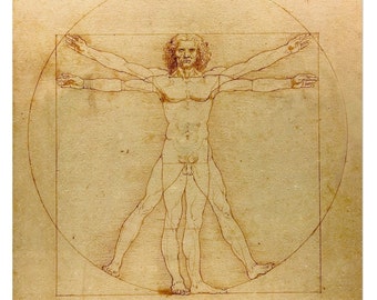 Pôster Homem Vitruviano - Leonardo da Vinci - Belas Artes