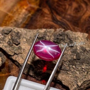 May include: A polished oval-shaped magenta star ruby gemstone held by silver-toned metal tweezers. The gemstone displays a distinct six-rayed white star pattern across its surface. The text TheLeafGifts is visible on the right side of the stone.