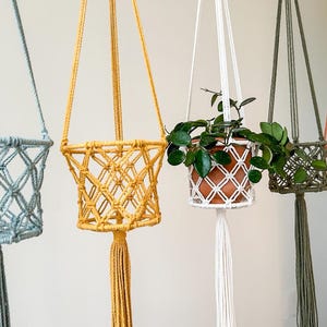 May include: A collection of handmade macrame plant hangers in various colors, including blue, yellow, white, green, and orange. Each hanger features a woven basket design and a long tassel. One hanger holds a potted plant with green leaves.