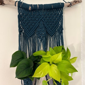 May include: A teal macrame wall hanging with two potted plants. The hanging is made with thick cotton cord and has a wooden dowel at the top. The plants are a green philodendron and a yellow pothos.
