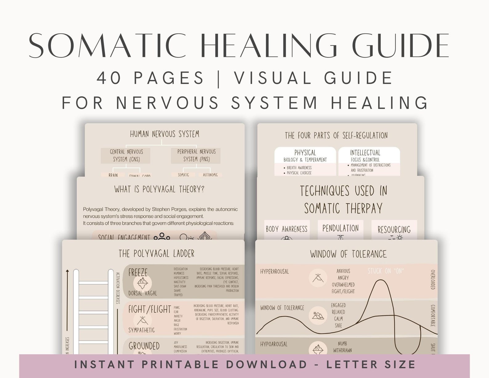 Somatic Healing Guide | Trauma Healing Infographics | Polyvagal Nervous ...