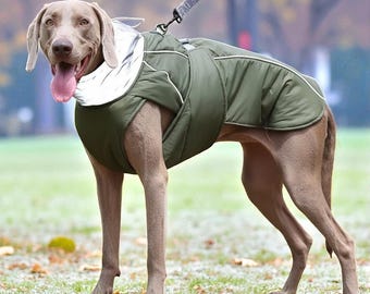 Pet Winter Jacket: Waterproof Reflective Padded Coat with Fleece Lining and Safety Buckle