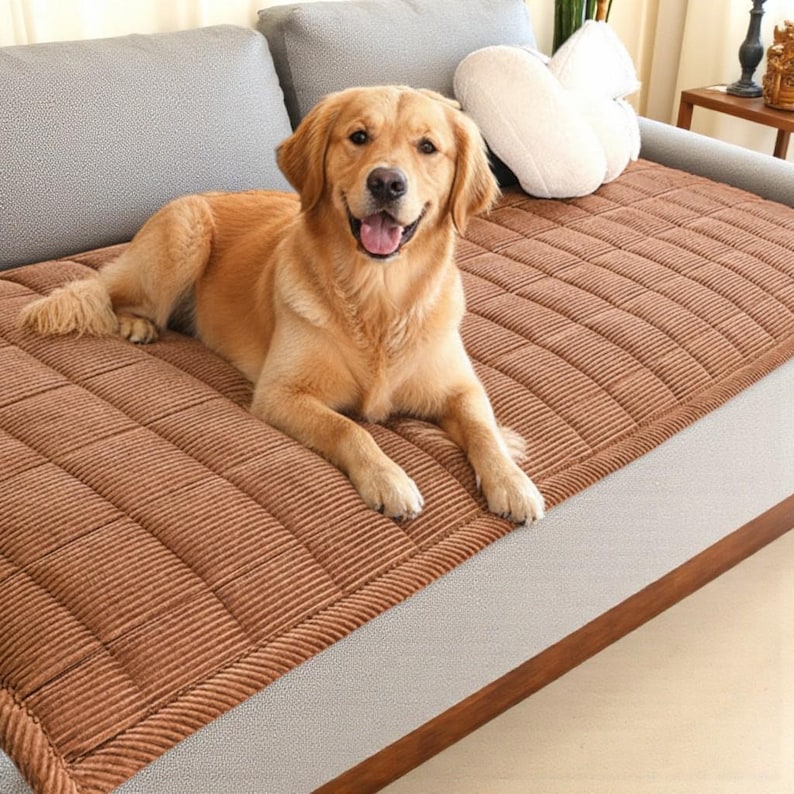 May include: A golden retriever dog is lying on a brown, quilted pet bed on a gray sofa. The dog is smiling with its tongue out. The pet bed has a ribbed texture and a contrasting border. A white heart-shaped pillow is visible.