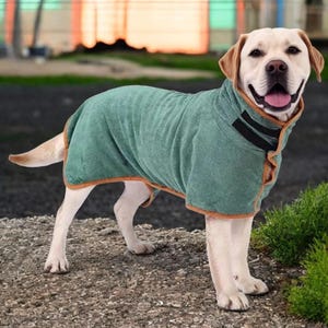 Peut inclure: Une serviette de séchage pour chien de couleur verte avec une bordure marron et une sangle noire. La serviette est conçue pour s'adapter au corps d'un chien et possède une capuche. Un labrador retriever jaune porte la serviette.